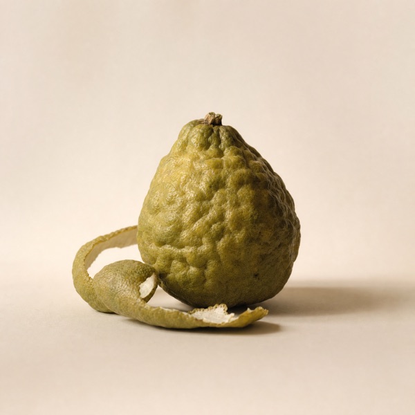 Bergamotto