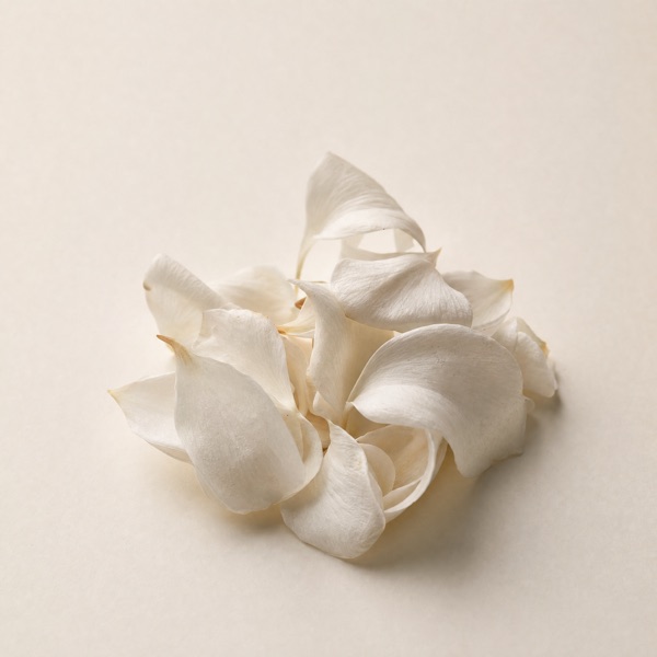 fiori bianchi