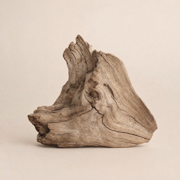 Legno secco