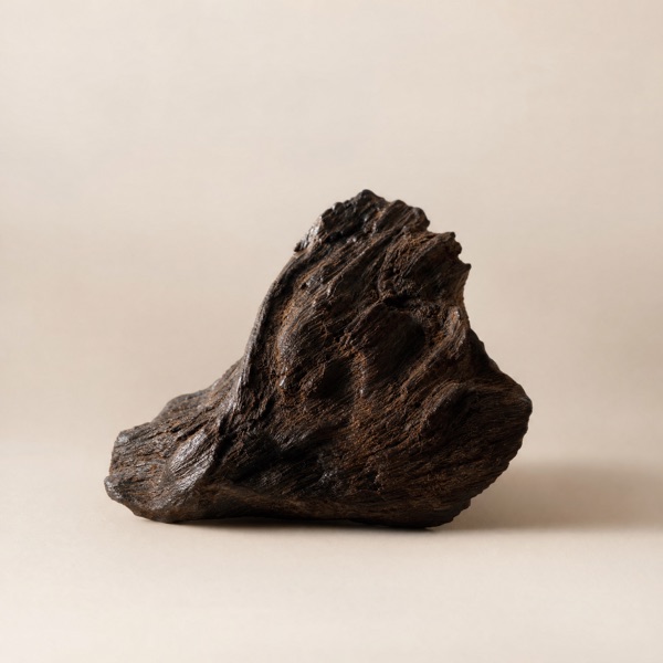 oud levigato