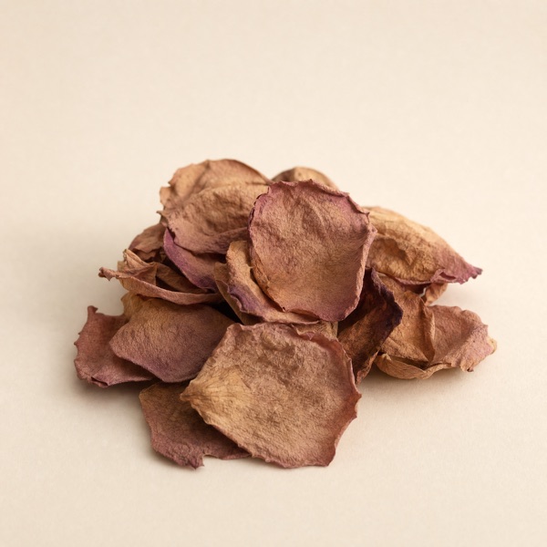 Rosa asciutta